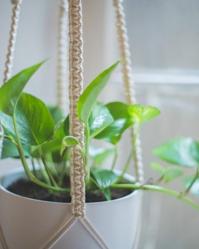 33a7726005d7c514702223daa46749bf